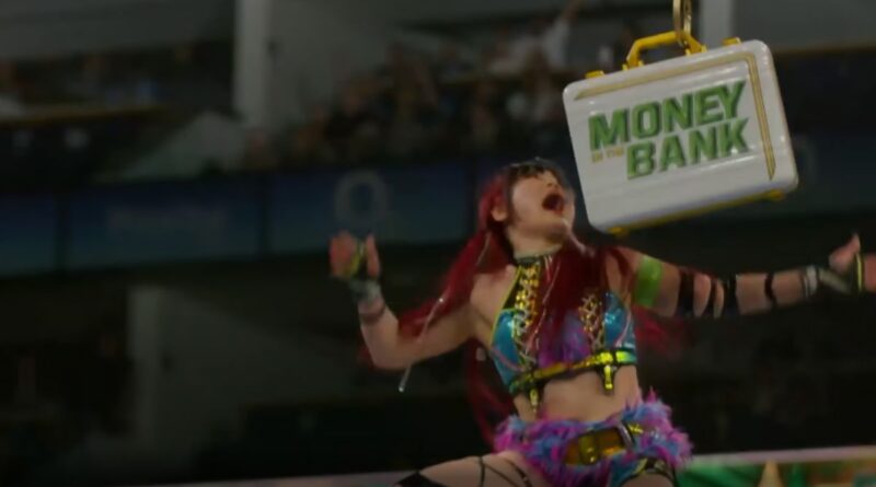 WWE superstar reaches for the Money in the Bank briefcase during a ladder match