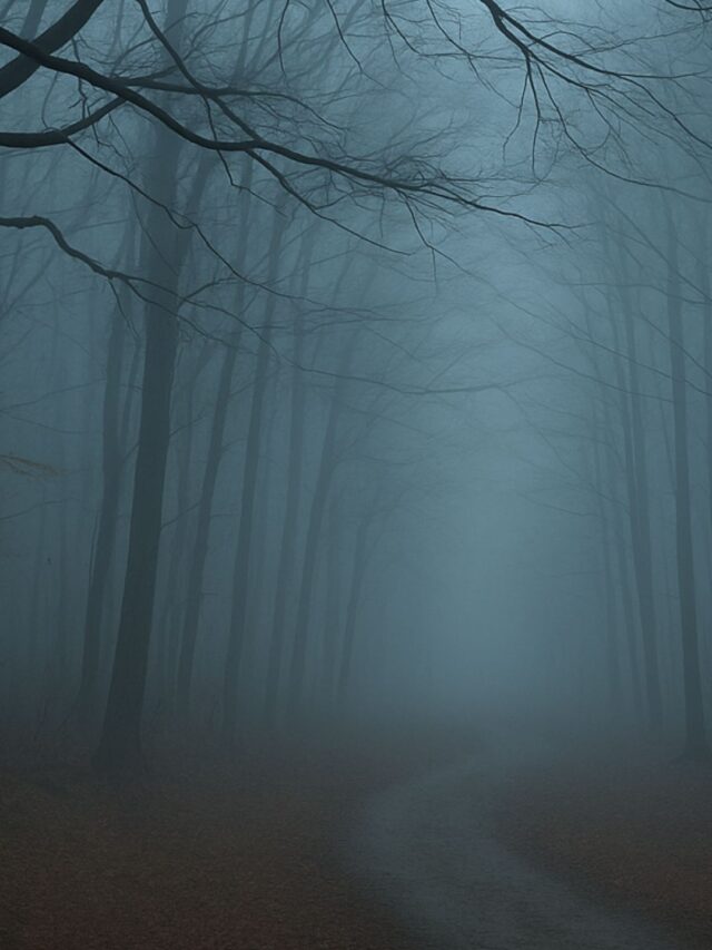 Don’t Do This on Friday the 13th – Weird Rules & Beliefs
