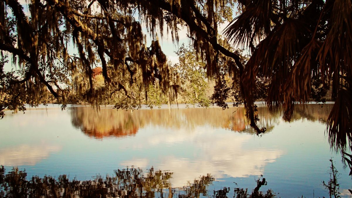 Reflections of mossy oak trees and sky on a calm Florida lake
