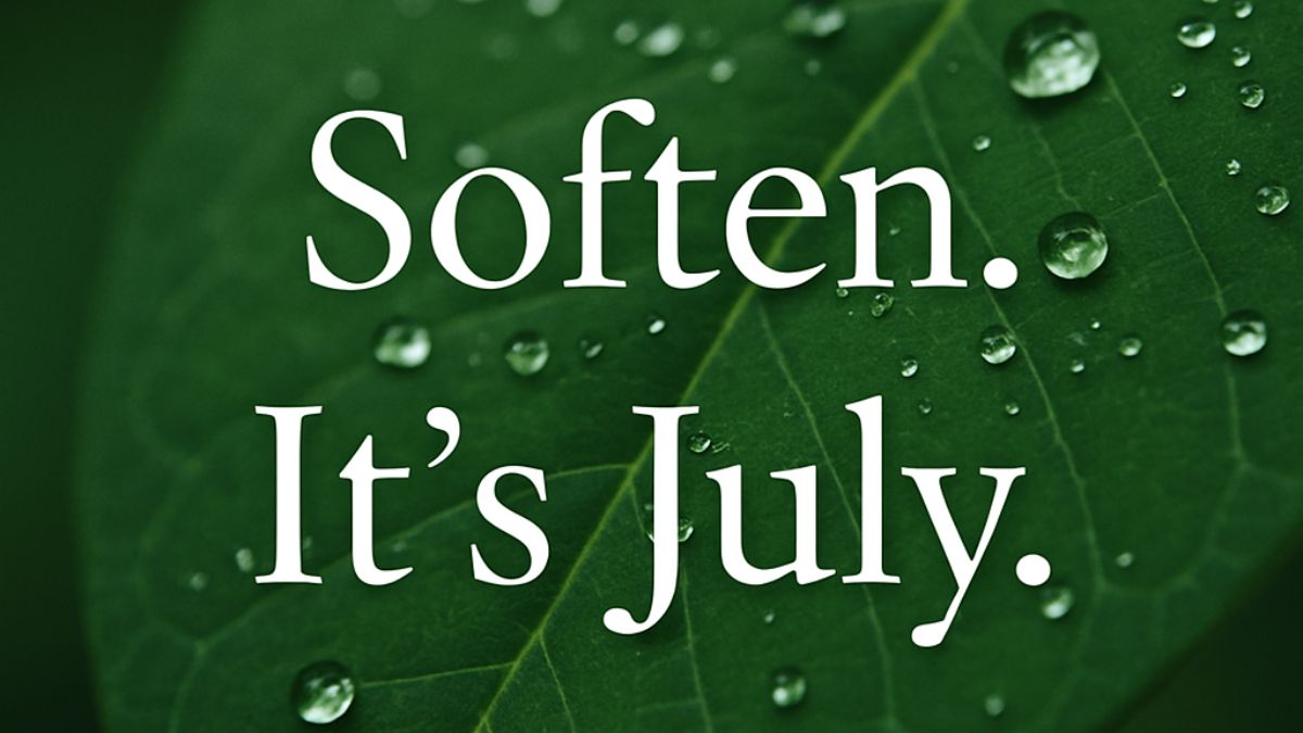 Close-up of a green leaf with water droplets and the text “Soften. It’s July.”